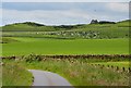 NT6435 : Cows in the pasture near Smailholm Tower by Jim Barton