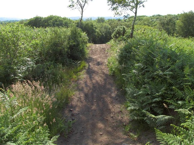 Dirt Bike Circuit on Mynydd Garn Goch Common