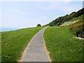 SZ5577 : Path at Western Cliffs, Ventnor by Paul Gillett