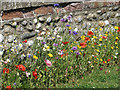 TG0743 : Wildflower border by Pauline E