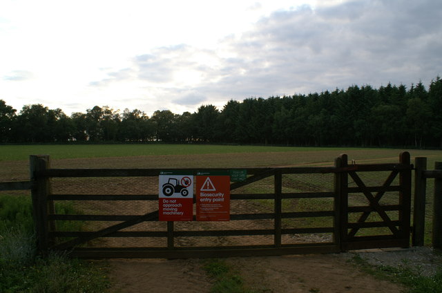 Entrance to tree nursery