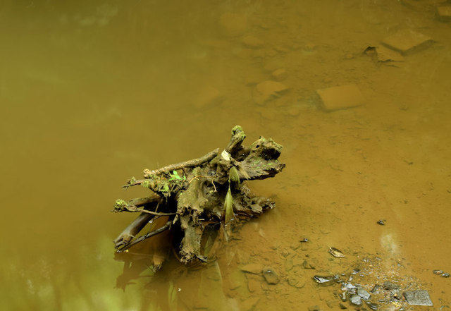 Muddy pond, Glenlyon, Holywood (June 2014)