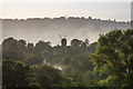 TQ2350 : Reigate Heath Windmill in a Summer evening by Ian Capper