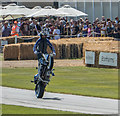 SU8808 : Motor Cycle Display, Goodwood Festival of Speed 2014 by Christine Matthews