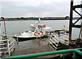 SU4208 : Wild Rose at Hythe Pier by Alan Murray-Rust