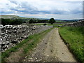 SD9788 : Walled Track descending to Thornton Rust by Chris Heaton