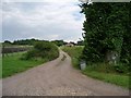 SU6126 : Sheep Dip, Brockwood Bottom by Christine Johnstone