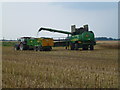 TL2891 : Rapeseed harvest on Glassmoor near Pondersbridge by Richard Humphrey