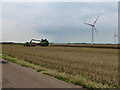 TL2891 : Unloading rapeseed on Glassmoor by Richard Humphrey