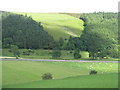 NT4447 : Forestry and pasture in the Gala Water valley by M J Richardson