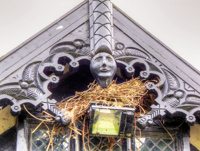 Jackdaw's Nest at Speke Hall