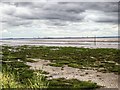 SJ4083 : Speke and Garston Coastal Reserve, Mersey Estuary near Lookout Point by David Dixon