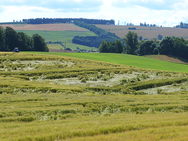 Field of barley at Ormiston