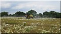 NU1428 : Spraying oilseed rape east of Warenford by Graham Robson