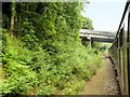 SU7138 : Mid-Hants Railway, The Bridge at Borovere Lane by David Dixon