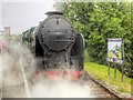 SU7239 : "Lord Nelson" at Alton Station by David Dixon