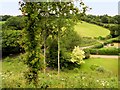 SU6534 : View from the Watercress Line near Soldridge by David Dixon