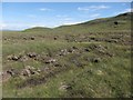 NG5034 : Peat bog in summer by Richard Dorrell