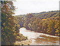 SS9307 : Downstream on River Exe at Bickleigh Mill, 1984 by Ben Brooksbank