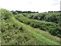 SE6943 : Nature reserve path, parallel to the River Derwent by Pauline E