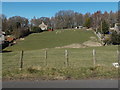 SO6307 : Distant sheep grazing in a field, Yorkley by Jaggery