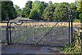 SX8670 : Wrought iron gate to Forde House grounds, Torquay Road, Newton Abbot by Robin Stott