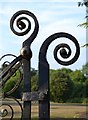 SX8670 : Detail, wrought iron gate to Forde House grounds, Torquay Road, Newton Abbot by Robin Stott