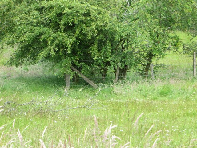 One of the corner posts