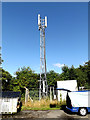 TL0652 : Telecommunications Mast at Bedford Athletic RUFC by Geographer