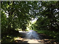 TM3097 : Seething Road, Kirstead Green by Geographer