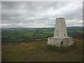 SD6541 : Spire Hill summit, Longridge Fell (350m) by Karl and Ali