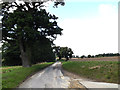 TM3093 : Low Road, Hedenham by Geographer