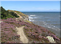 NZ8513 : Heather-clad clifftop, Sandsend by Pauline E