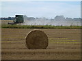 TF3805 : Combine at work on Plash Drove by Richard Humphrey