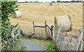 J3267 : Bales near the Giant's Ring, Belfast - August 2014(3) by Albert Bridge