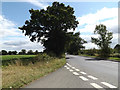 TM0835 : B1070 Mill Road, East Bergholt by Geographer