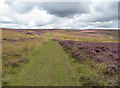 SE8292 : Tabular Hills Walk passing through moorland by Pauline E