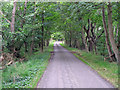 TM4567 : Road from RSPB Minsmere to Eastbridge by Roger Jones