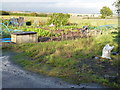 TL3180 : Allotments in Warboys, Cambridgeshire by Richard Humphrey