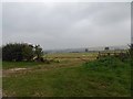 TA1900 : A grey day on The Lincolnshire Wolds by Steve  Fareham