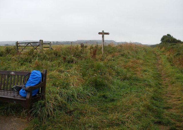 Junction of paths, Roger Trod