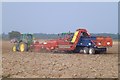 TF2034 : Potato harvesting at Donington South Ing, Lincolnshire by Richard Humphrey