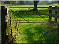 SU9945 : Watermeadows by the Wey Navigation by Alan Hunt