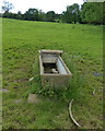 SK7805 : Cattle trough near the site of Sauvey Castle by Mat Fascione