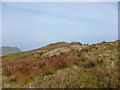 NS1598 : Deer grass on Beinn Bhreac by Alan O'Dowd