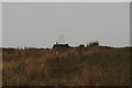 SE0704 : Grouse on the Black Hill Triangulation Pillar by Chris