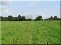 TL8010 : Electric fence along public footpath, Nounsley by Roger Jones