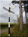 NT5065 : Rural East Lothian : ELCC Fingerpost And Scots Pines At Marvingston Crossroads by Richard West