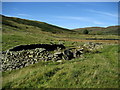 NY5000 : Ruined Sheepfold above Longsleddale by Chris Heaton