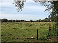 TL4452 : Cam water meadows near Hauxton by John Sutton